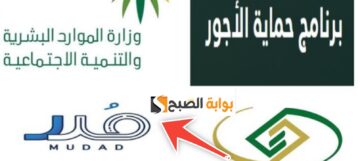 طريقة التسجيل في منصة مدد وشروط التسجيل الجديدة وقيمة الاشتراك 1445