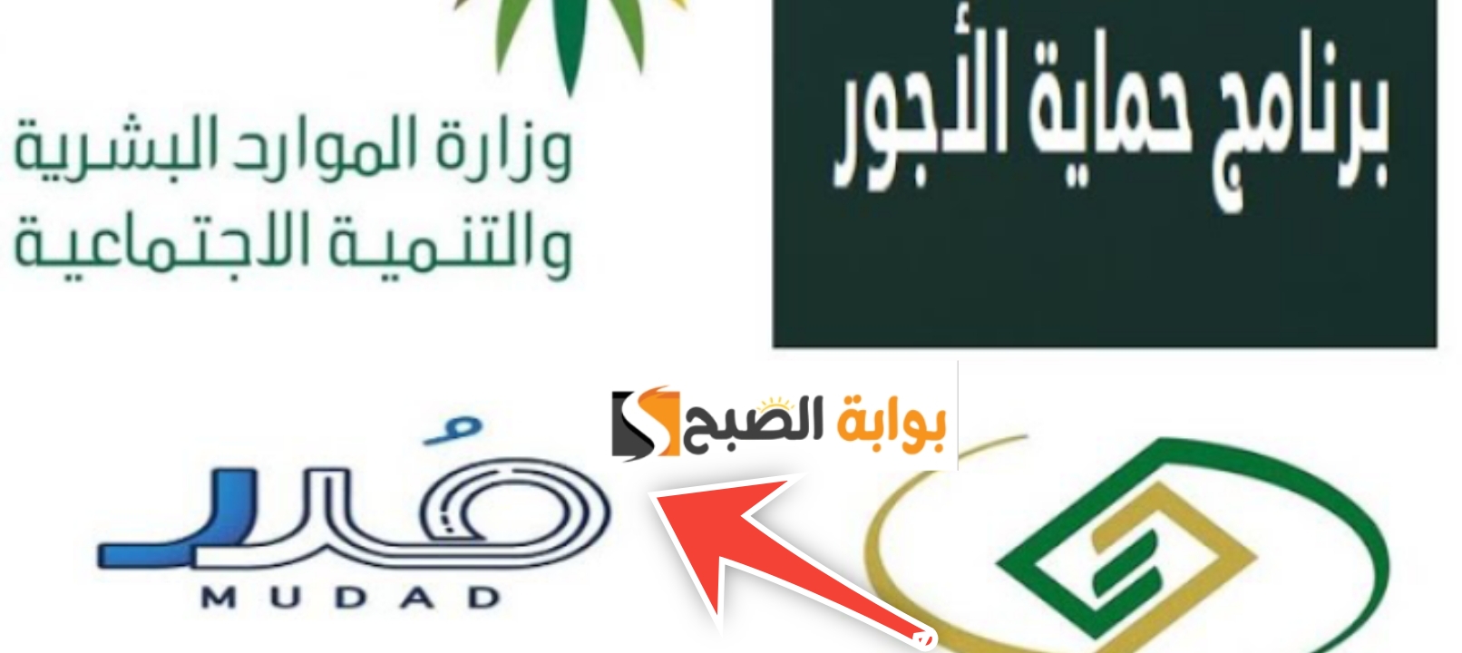 طريقة التسجيل في منصة مدد وشروط التسجيل الجديدة وقيمة الاشتراك 1445 5 طريقة التسجيل في منصة مدد وشروط التسجيل الجديدة وقيمة الاشتراك 1445