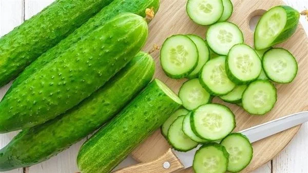 أسرار زراعة الخيار البلدي في البيت من البذور حتى الحصاد 5 أسرار زراعة الخيار البلدي في البيت من البذور حتى الحصاد