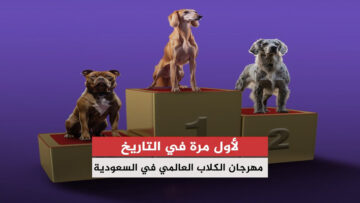 “لأول مرة في التاريخ” كم عدد البطولات في المهرجان العالمي للكلاب.. ما هو السر وراء الضجة العالمية؟