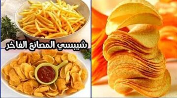 بحبة بطاطس اعملي شيبسي المصانع مقرمش ولذيذ بدون زيت زي الجاهز مش هتشتريه تاني