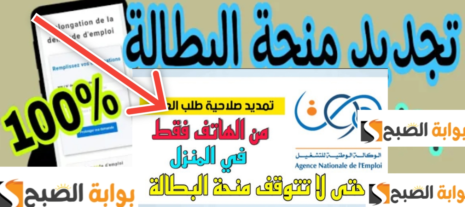 طريقة تجديد منحة البطالة 2024 تجديد شهادة طالب العمل 6 أشهر