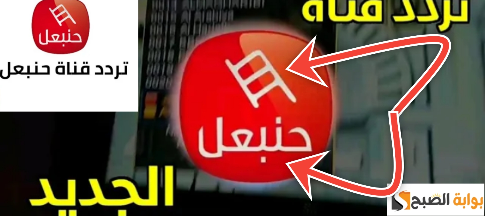 تردد قناة حنبعل التونسية 2024 على النايل سات بعد التحديث الجديد 5 تردد قناة حنبعل التونسية 2024 على النايل سات بعد التحديث الجديد