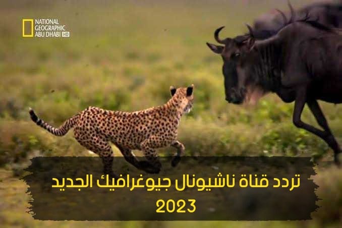 ثبتها الان.. اضبط تردد قناة ناشيونال جيوغرافيك 2023 الجديد على نايل سات وعرب سات.. خلي أطفالك يستفادوا!