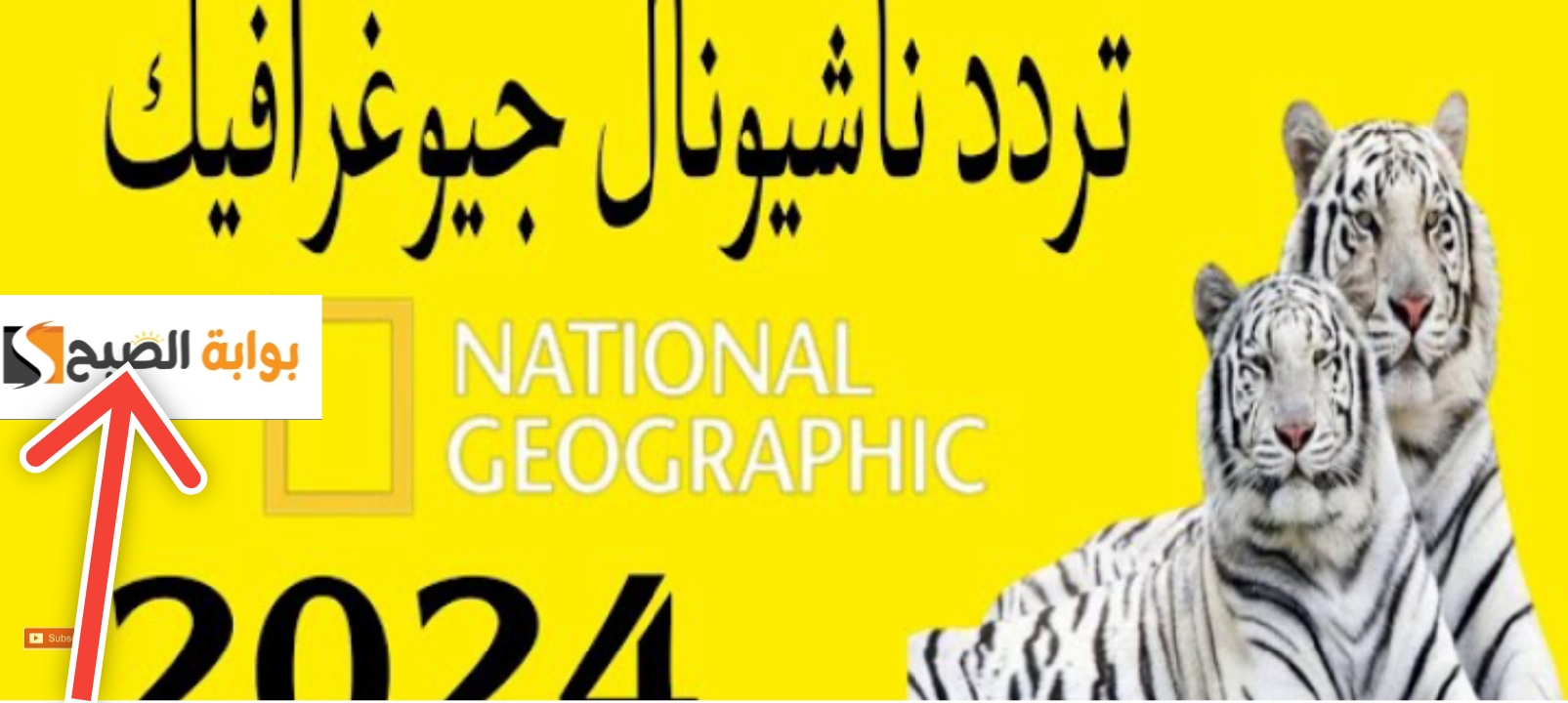 تردد قناة ناشيونال جيوغرافيك أبوظبي 2024 ثبت وشاهد المغامرات البرية والبحرية 5 تردد قناة ناشيونال جيوغرافيك أبوظبي 2024 ثبت وشاهد المغامرات البرية والبحرية