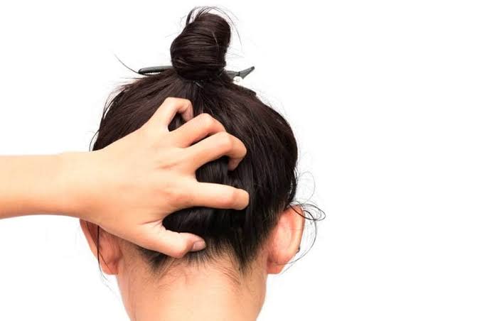 وصفة طبيعية لترطيب الشعر الهايش بسرعة في المنزل بمكونات متوفرة في كل بيت 5 وصفة طبيعية لترطيب الشعر الهايش بسرعة في المنزل بمكونات متوفرة في كل بيت