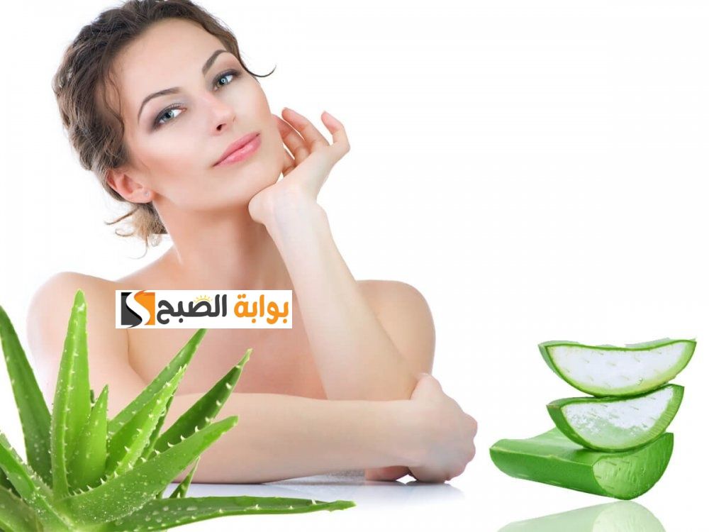 الوصفة المعجزة لبشرة مش معجزة.. قناع زيت اللوز و جل الصبار هيحل كل مشاكل البشرة فى أقل من أسبوع "جربي مش هتخسري حاجة" 5 الوصفة المعجزة لبشرة مش معجزة.. قناع زيت اللوز و جل الصبار هيحل كل مشاكل البشرة فى أقل من أسبوع “جربي مش هتخسري حاجة”