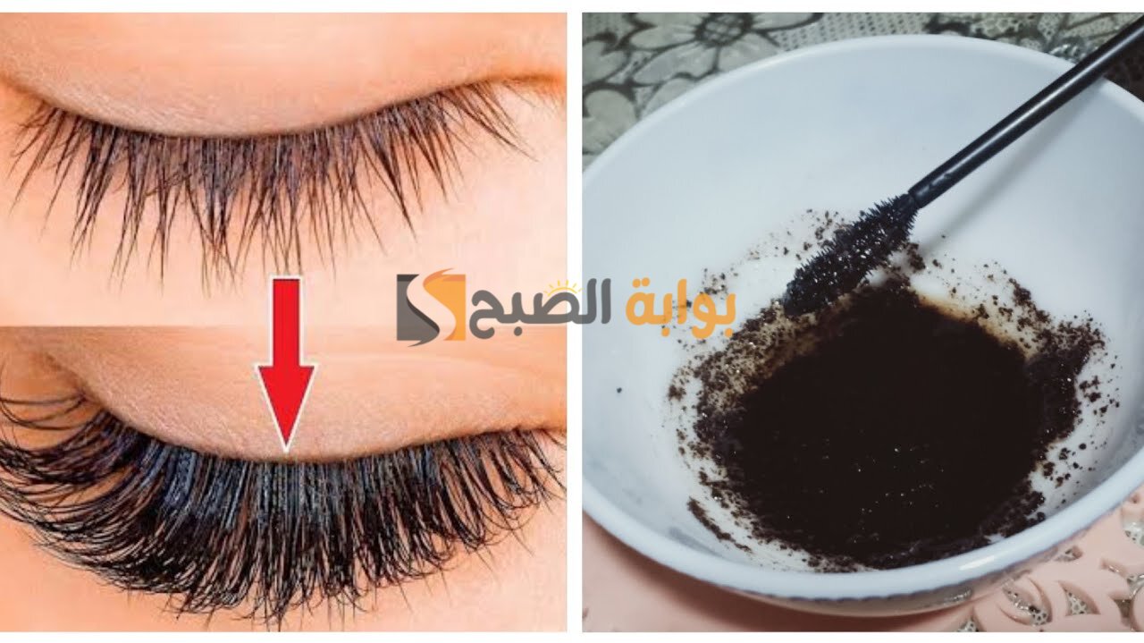 وصفات طبيعية لتطويل وتكثيف الرموش في المنزل بخطوات بسيطة 5 وصفات طبيعية لتطويل وتكثيف الرموش في المنزل بخطوات بسيطة