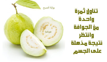 تناول ثمرة واحدة من الجوافة وانتظر نتيجة مذهلة على الجسم