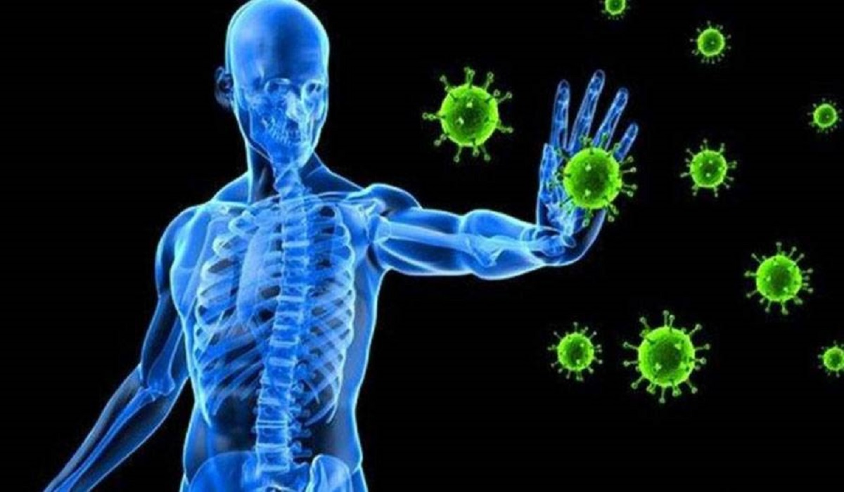 "بعد اكتشاف حالات مصابة بمتحور كورونا" 6 طرق لدعم جهازك المناعي 5 “بعد اكتشاف حالات مصابة بمتحور كورونا” 6 طرق لدعم جهازك المناعي