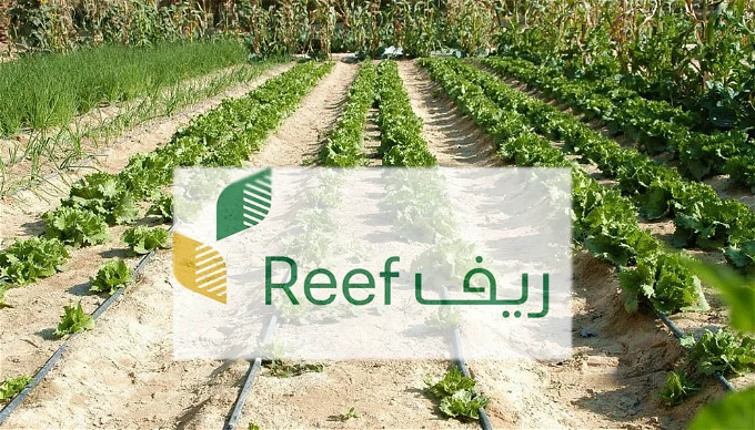 تعرف على أهم الشروط من أجل التقديم للتسجيل في دعم الريف للأسر المنتجة 1445