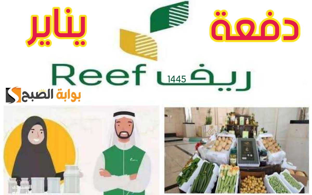 "لكل المستفيدين".. موعد صرف دعم ريف دفعة يناير 1445/2024 ورابط الاستعلام reef.gov.sa وفقاً لوزارة المياه والبيئة الزراعية 5 “لكل المستفيدين”.. موعد صرف دعم ريف دفعة يناير 1445/2024 ورابط الاستعلام reef.gov.sa وفقاً لوزارة المياه والبيئة الزراعية
