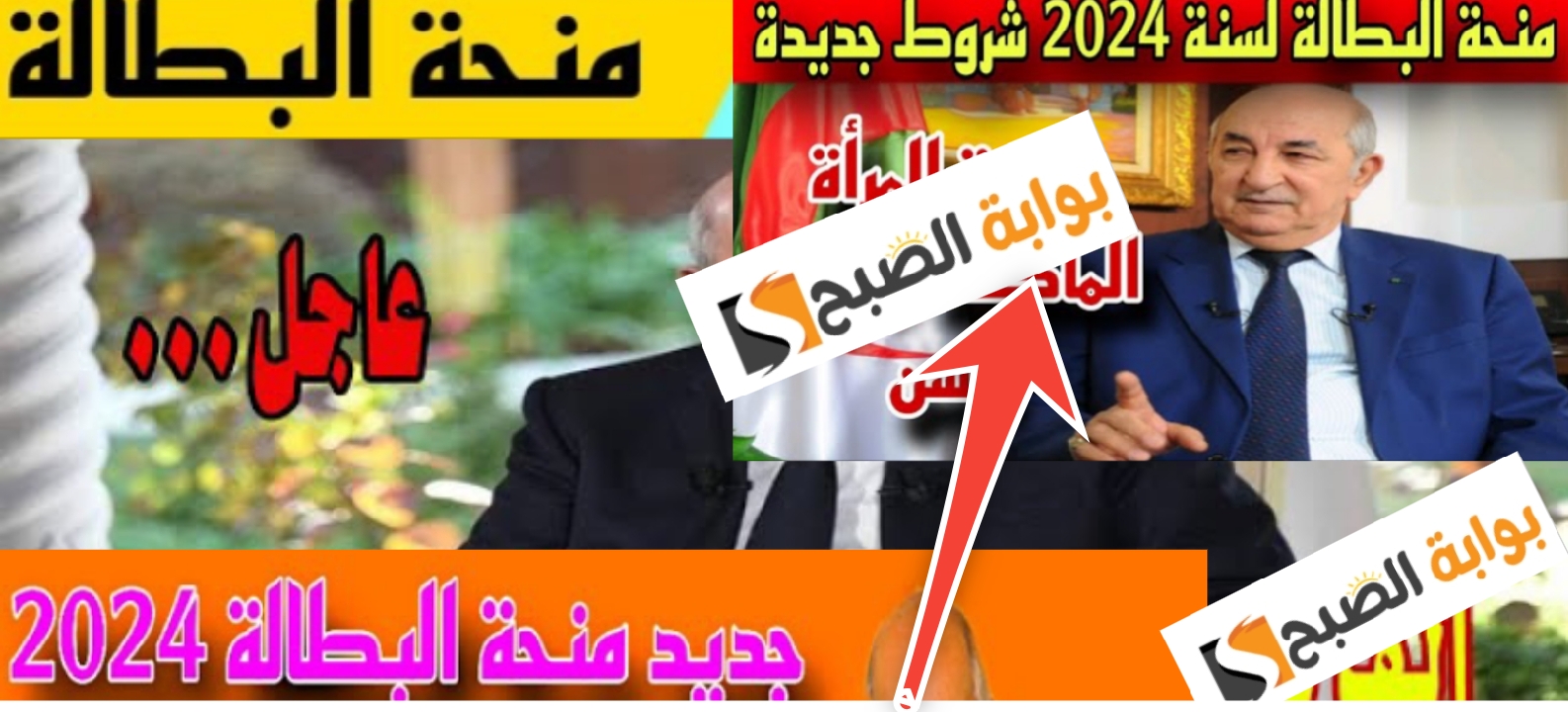رابط موقع الوكالة الوطنية للتشغيل للتسجيل في منحة البطالة 2024