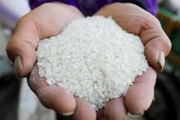 أسعار الأرز اليوم… ارتفاع سعر طن الرز الشعير