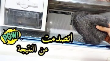 ياريتني عرفتها من زمان.. ضعي سلك المواعين في الفريزر وتخلصي من أكبر عقبة في بيتك.. النتيجة هتبهرك!