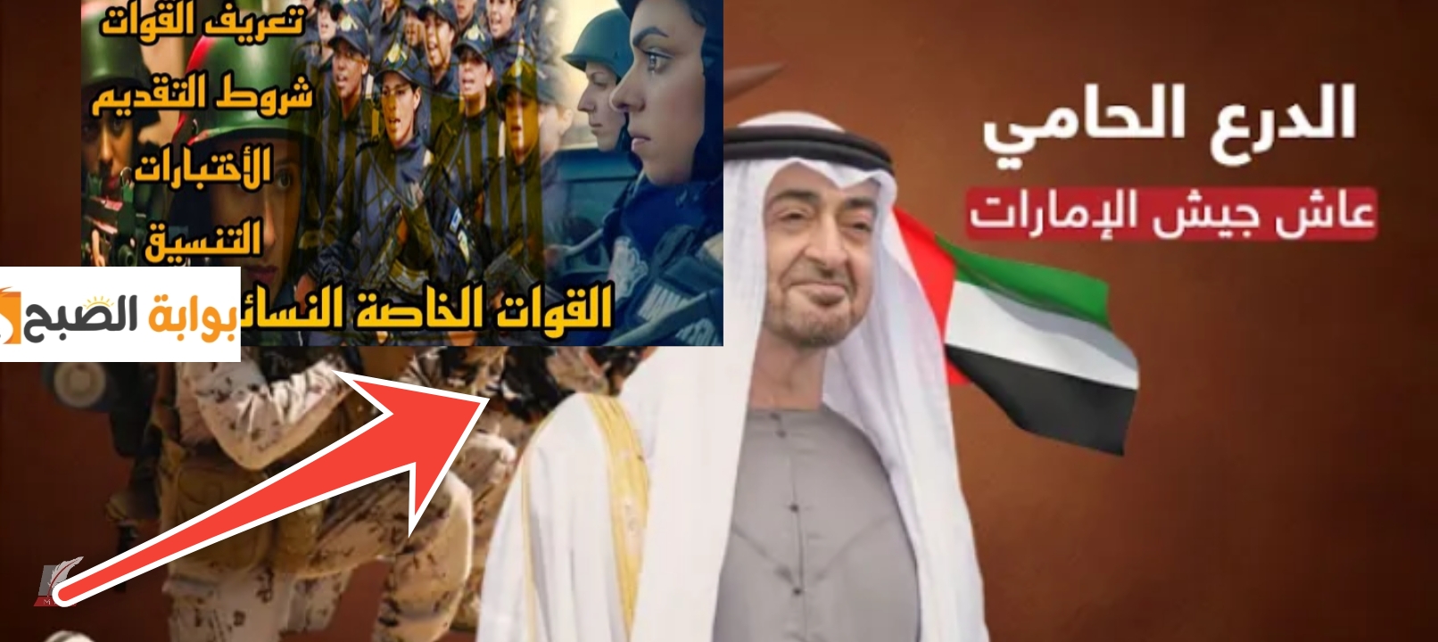 شروط القبول في القوات المسلحة الأمارات للنساء والمستندات المطلوبة 2024