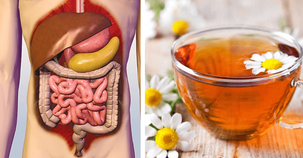 طرق علاج القولون باسرع وقت وداعا للوجع والتعب 5 طرق علاج القولون باسرع وقت وداعا للوجع والتعب