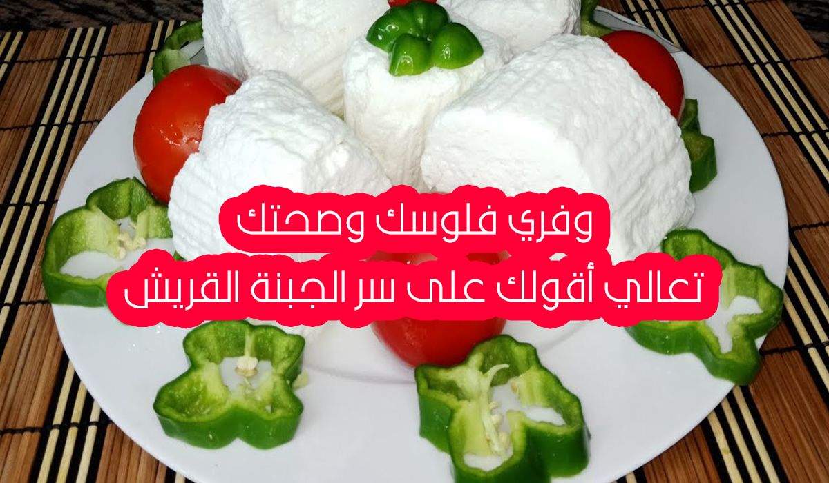 تعالي أقولك أزاي تعملي الجبنة القريش من اللبن والخل في البيت وأقل تكلفة