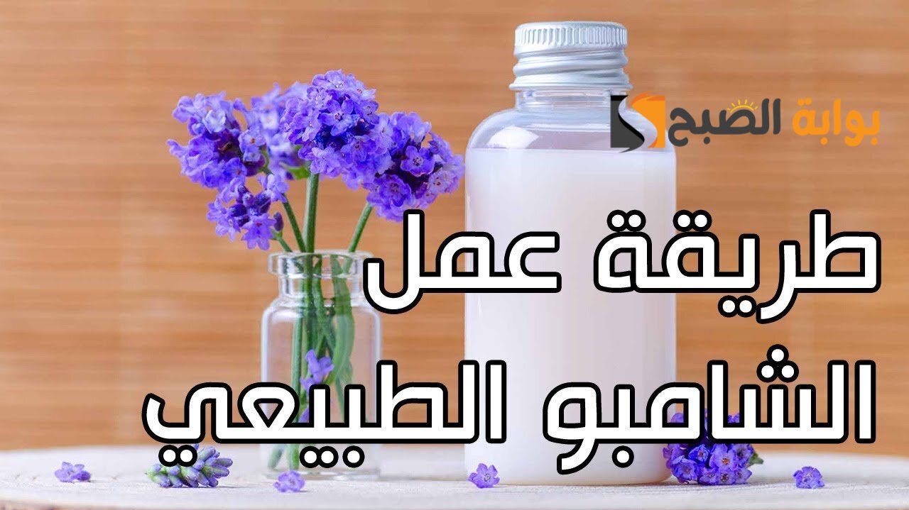 طريقة عمل شامبو منزلي ضد القشرة بأقل تكلفة بالزيوت الأساسية 5 طريقة عمل شامبو منزلي ضد القشرة بأقل تكلفة بالزيوت الأساسية