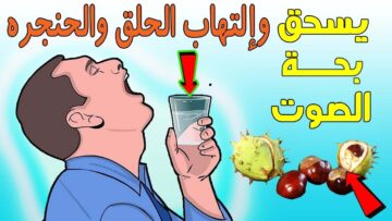 ثمرة واحدة بس كل يوم بتعمل المعجزات وصفة الغلابة لزيادة المناعة في الشتا والبرد