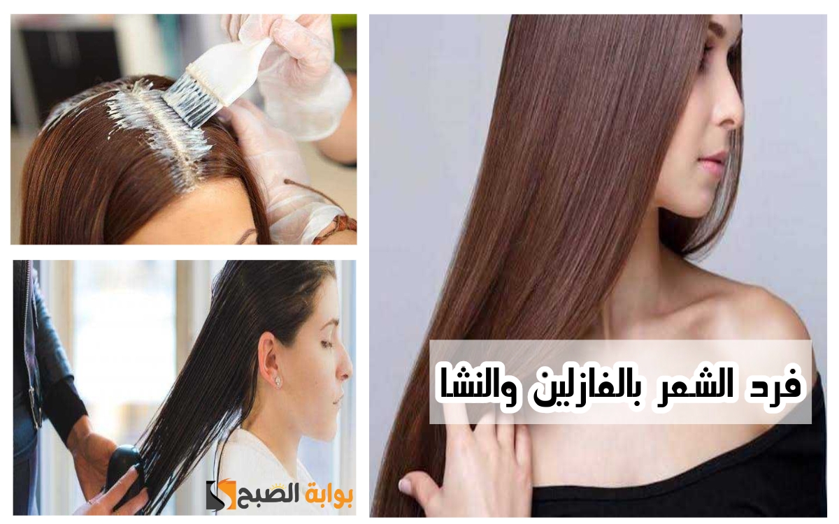 «جددي إطلالتك».. إليك أفضل طريقة لفرد الشعر بـ "الفازلين والنشا".. هيبقى ناعم وقوي ولامع 5 «جددي إطلالتك».. إليك أفضل طريقة لفرد الشعر بـ “الفازلين والنشا”.. هيبقى ناعم وقوي ولامع