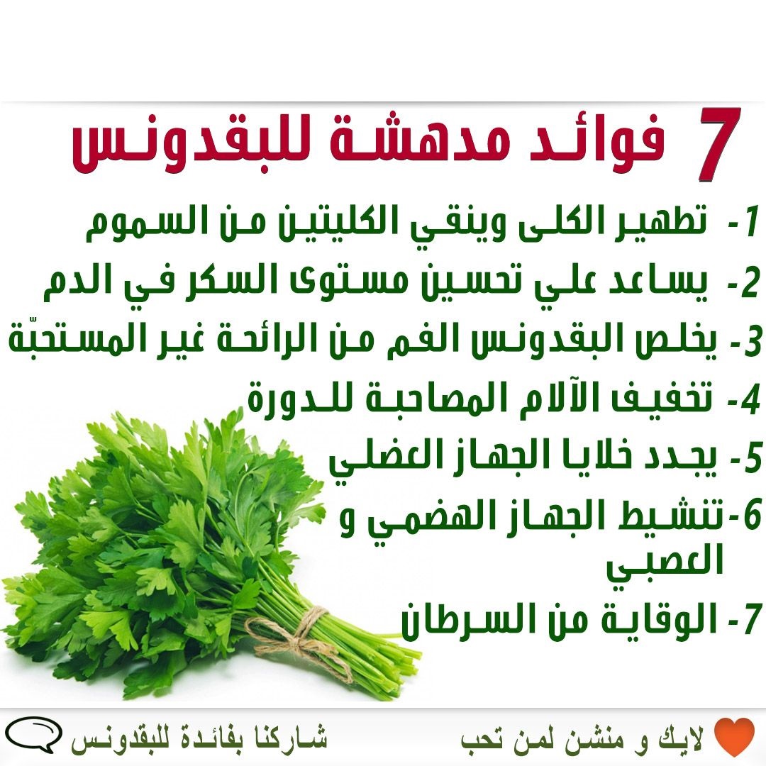 تعرف علي أهم فوائد البقدونس الصحية للجسم العشبه الخضراء السحرية 5 تعرف علي أهم فوائد البقدونس الصحية للجسم العشبه الخضراء السحرية