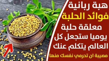 معلقة حلبة كل يوم شوفي بتعمل ايه معجزات ربانية في بذور أغلي من الذهب