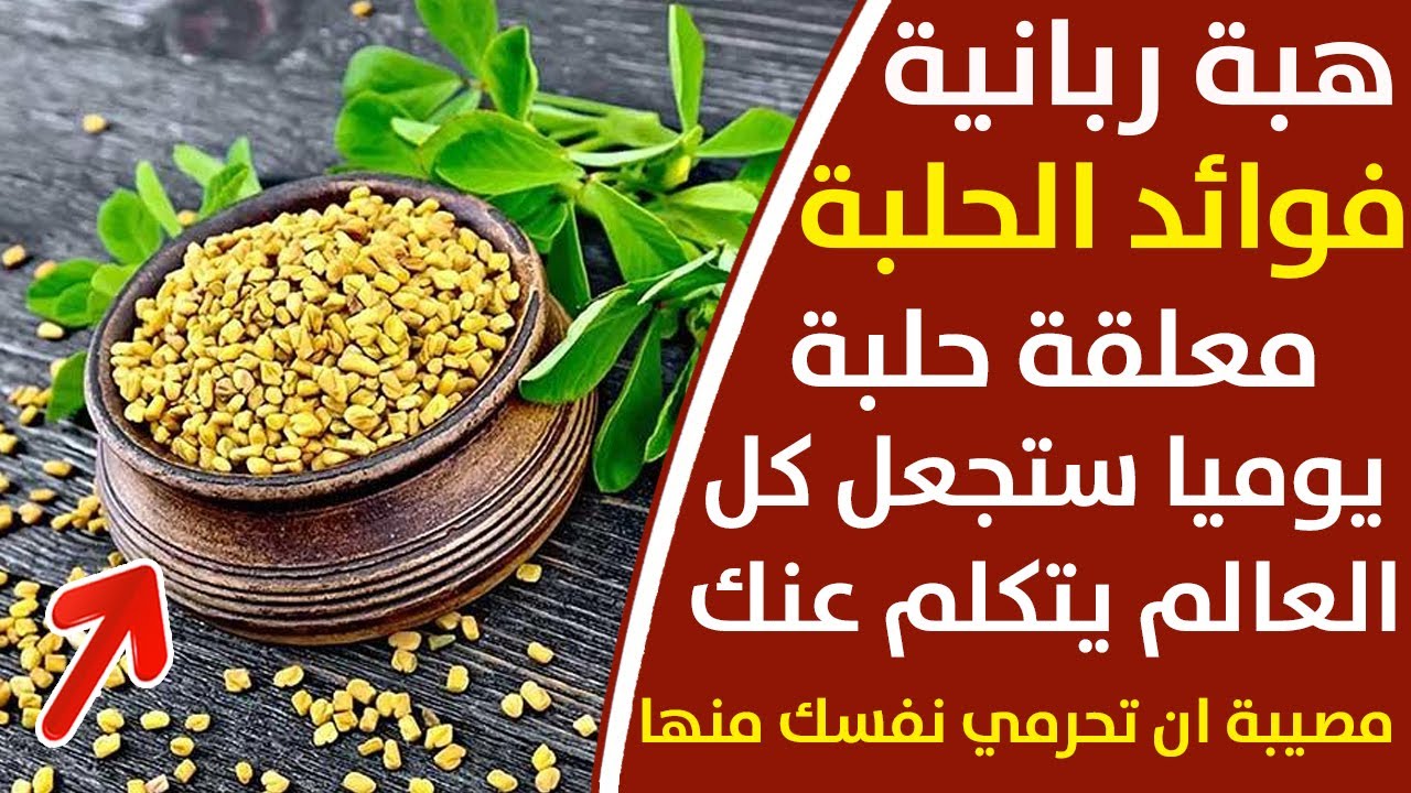 معلقة حلبة كل يوم شوفي بتعمل ايه معجزات ربانية في بذور أغلي من الذهب 5 معلقة حلبة كل يوم شوفي بتعمل ايه معجزات ربانية في بذور أغلي من الذهب