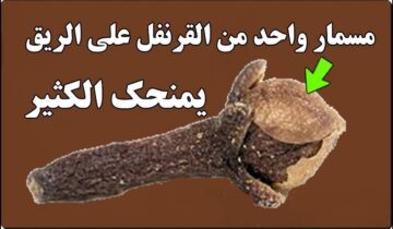 ” مش هتتخلى عنه أبدًا” مسمار واحد من القرنفل له فوائد صحية مذهلة
