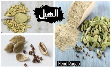 النبات السحرى.. 5 استخدامات لنبات الهيل “الحبهان”.. ستدهشك عند معرفتها!
