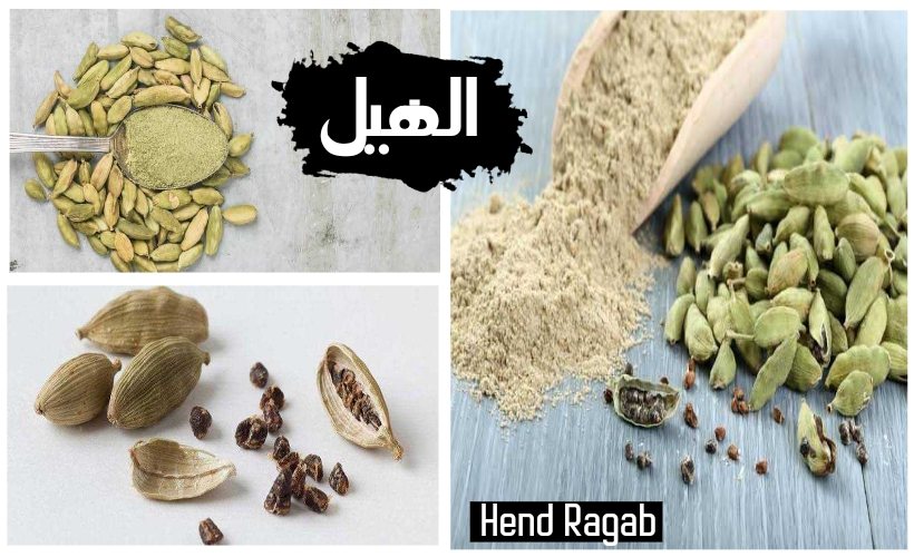 النبات السحرى.. 5 استخدامات لنبات الهيل “الحبهان”.. ستدهشك عند معرفتها!