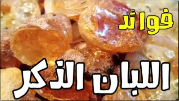 فوائد شرب لبان الذكر علي الريق لن تتخيل صيدلية في بيتك
