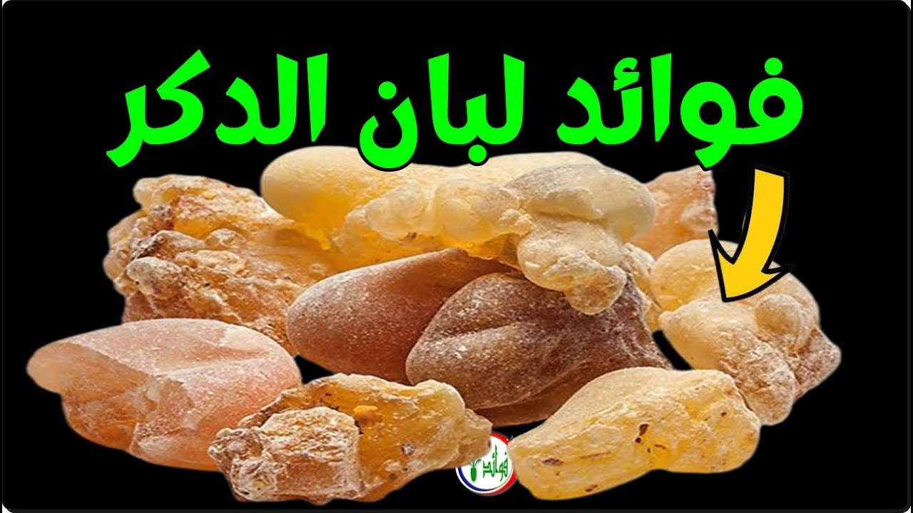 أسرار فوائد لبان الذكر للجسم والتخلص من الأمراض