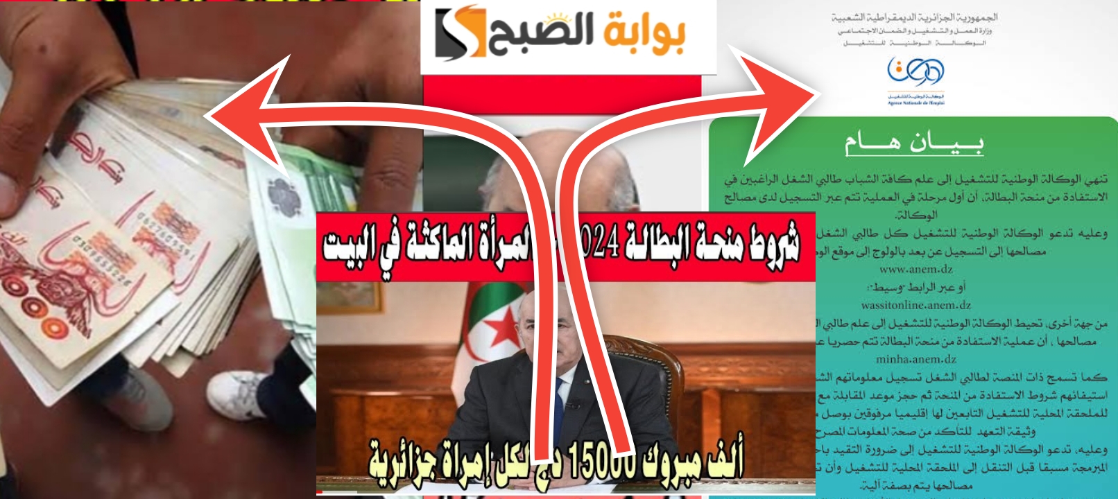 ما هو السن القانوني للاستفادة من منحة البطالة الجزائر ؟ الشروط والخطوات 2024 5 ما هو السن القانوني للاستفادة من منحة البطالة الجزائر ؟ الشروط والخطوات 2024