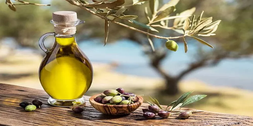ما هي فوائد تناول زيت الزيتون على الريق وأهميته عند دهن الوجه به 5 ما هي فوائد تناول زيت الزيتون على الريق وأهميته عند دهن الوجه به