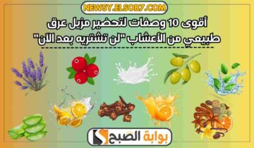 أقوى 10 وصفات لتحضير مزيل عرق طبيعي من الأعشاب “لن تشتريه بعد الآن”