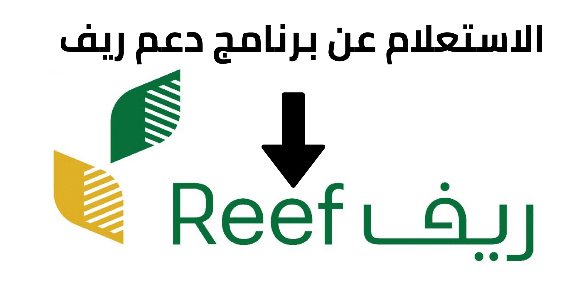 “هنا” رابط استعلام دعم ريف وخطوات التقديم عليه إلكترونيا 1445