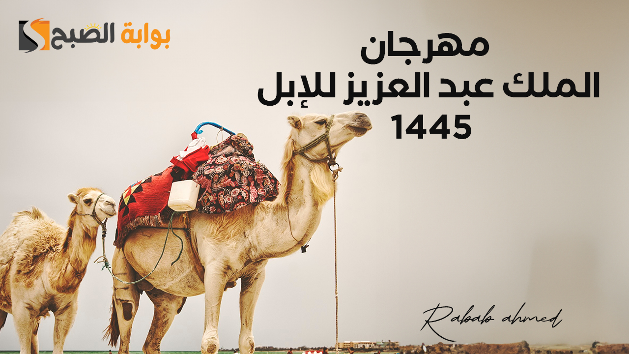 متى ينتهي مهرجان الملك عبد العزيز للإبل 1445؟ كل ما تريد معرفته عن الفعاليات والجوائز