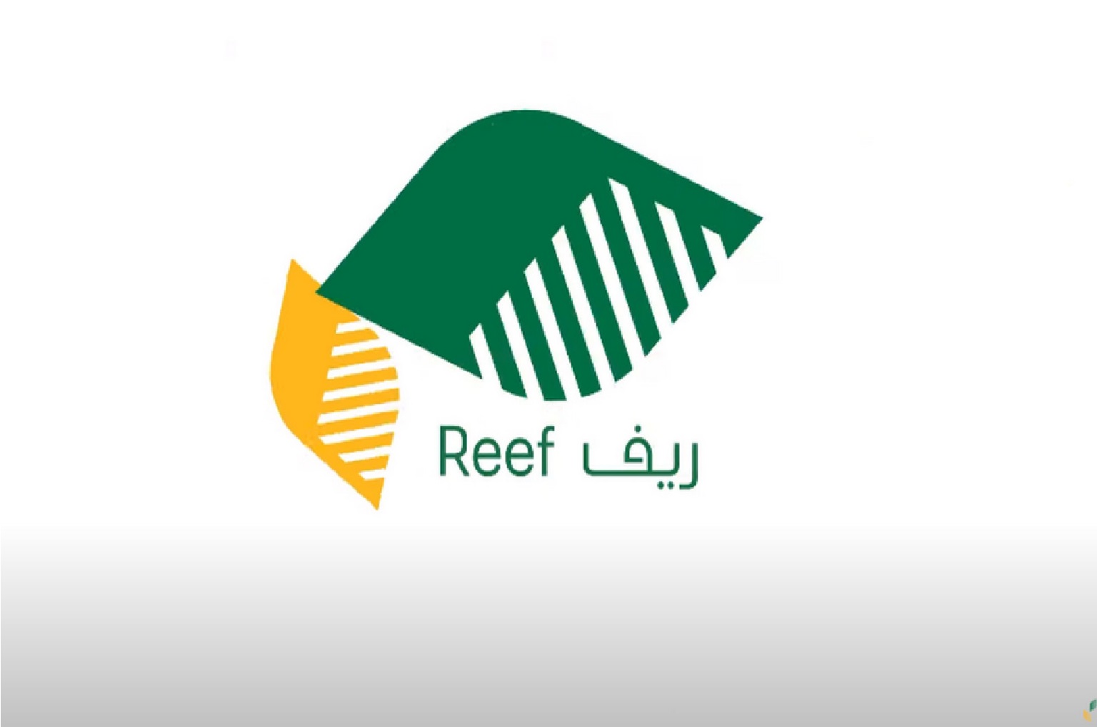 «يبدأ غداً».. وزارة البيئة والزراعة تعلن موعد صرف دعم ريف لهذا العام 2023 وهذه خطوات الاستعلام بالرابط الرسمي 5 «يبدأ غداً».. وزارة البيئة والزراعة تعلن موعد صرف دعم ريف لهذا العام 2023 وهذه خطوات الاستعلام بالرابط الرسمي