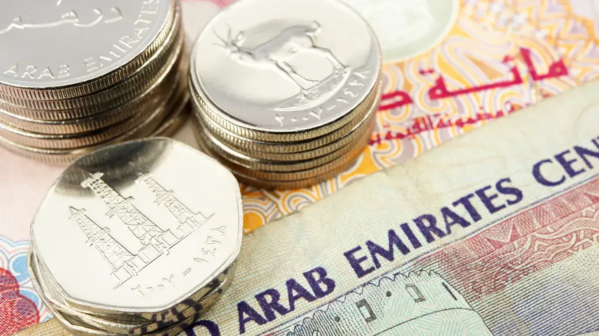 نشرة جديدة.. أسعار الجنيه مواجه الدرهم الإماراتي الثلاثاء 26-12-2023 مـ