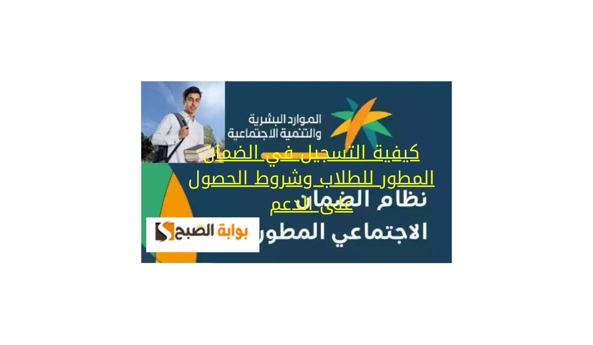 كيفية التسجيل في الضمان المطور للطلاب وشروط الحصول على الدعم 5 كيفية التسجيل في الضمان المطور للطلاب وشروط الحصول على الدعم
