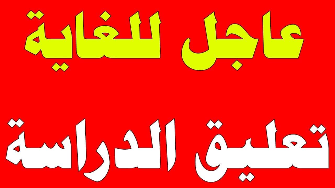 هل تؤيد الغاء الدراسة في رمضان 2024 بالسعودية؟ "استفتاء عن وكالة تعليق الدراسة" 5 هل تؤيد الغاء الدراسة في رمضان 2024 بالسعودية؟ “استفتاء عن وكالة تعليق الدراسة”