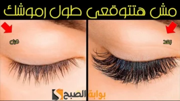 ودعي الرموش الصناعية.. كثفي رموشك وتقلي حواجبك دلوقتي مع خليط زيت الزيتون والفازلين “هتبقي زي نجمات هوليوود”