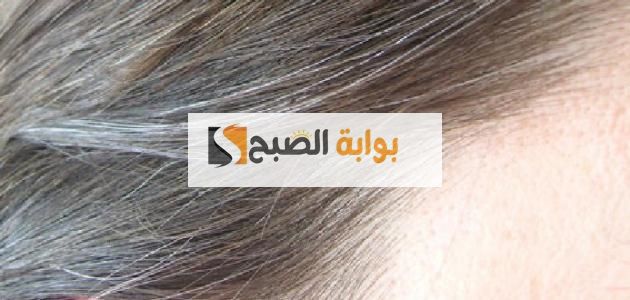 وصفة لإزالة الشيب نهائيا بمكونات طبيعية