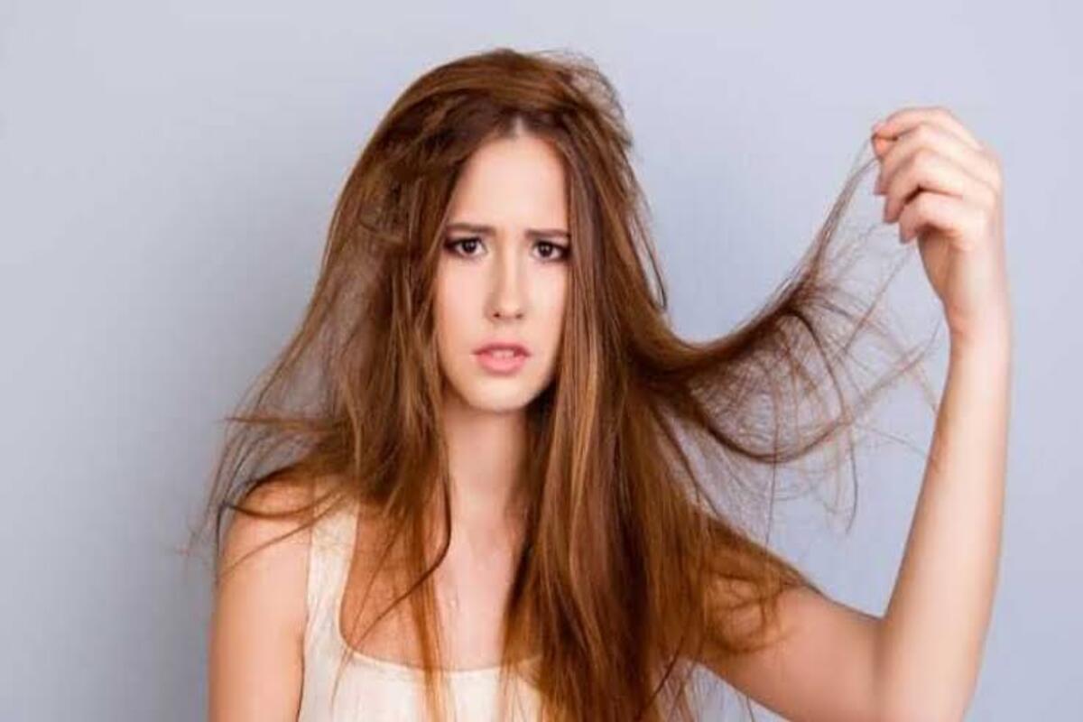 ترطيب ونعومة ولا أروع … وصفات طبيعية للشعر الجاف مش هتبطلي تجربيها