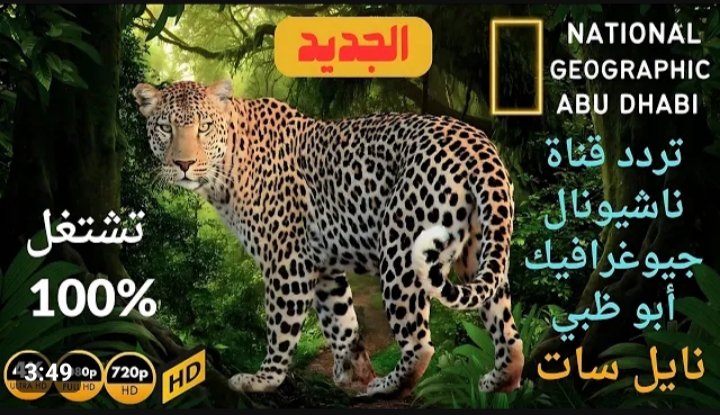 الكل بيدور عليه.. تردد قناة ناشيونال جيوغرافيك الجديد 2024 على القمر الصناعي نايل وعرب سات