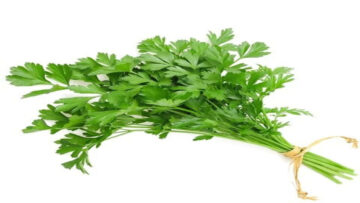 جربيها ومش هتستغني عنها نهائيا.. استخدمي حزمتين من البقدونس على شعرك.. هتخليه كثيف وطويل في أقل من شهر