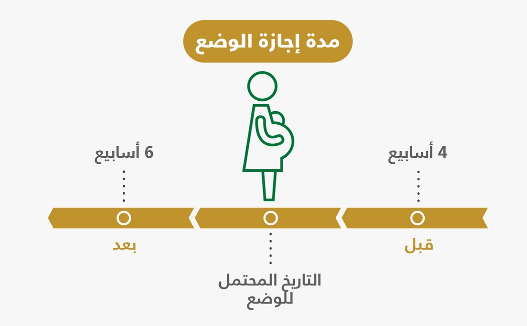 كيفية طلب إجازة المولود وما الشروط المطلوبة 1445 5 كيفية طلب إجازة المولود وما الشروط المطلوبة 1445