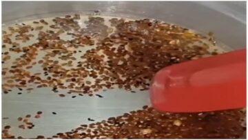 “جارتي البدوية قالتلي على السر” ارمي الحلبة في الزيت المغلي وهتنبهري من النتيحة حيلة ذكية جربيها حالا