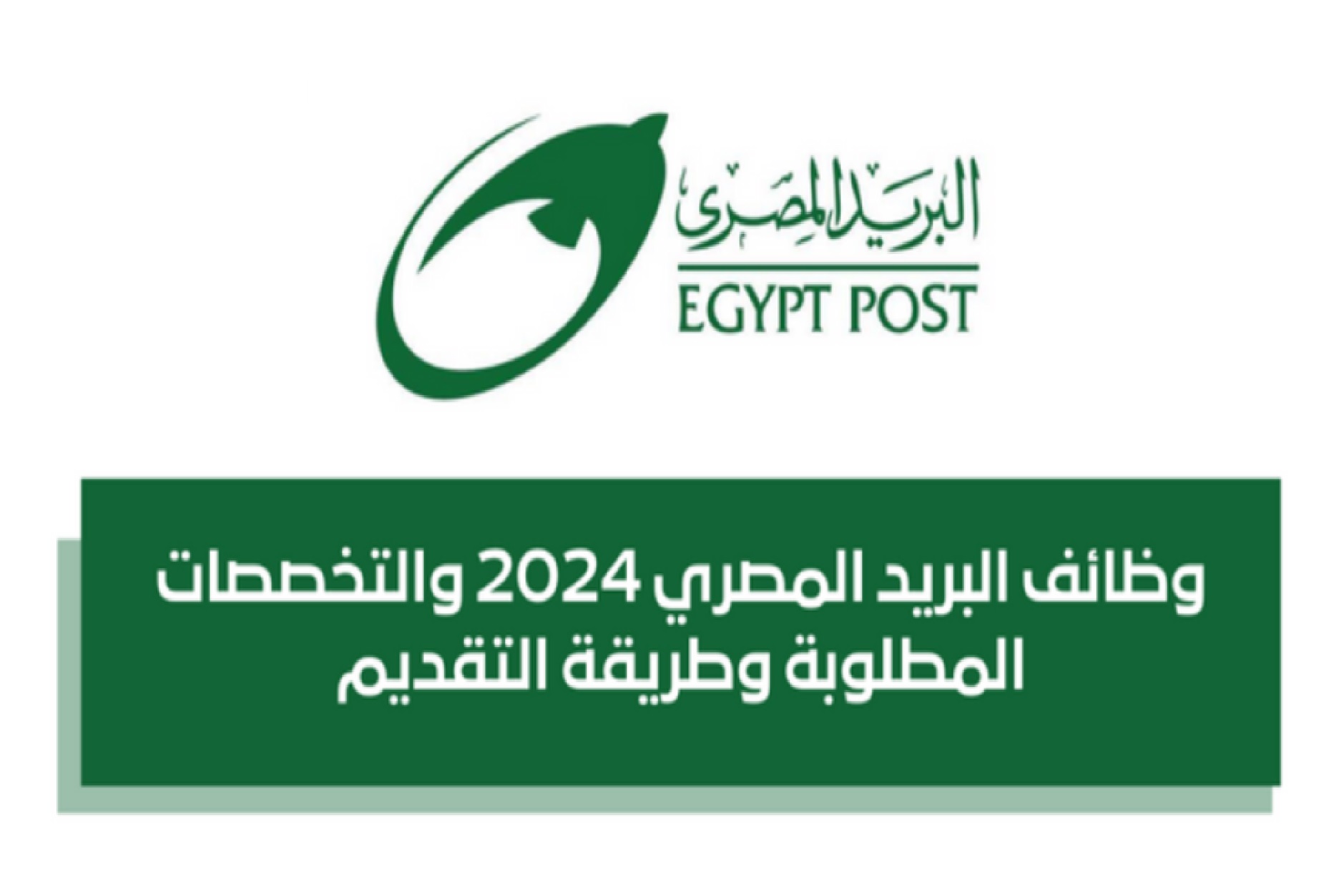 التقديم على وظائف البريد المصري 2024.. إليك أبرز الشروط والمستندات اللازمة 5 التقديم على وظائف البريد المصري 2024.. إليك أبرز الشروط والمستندات اللازمة